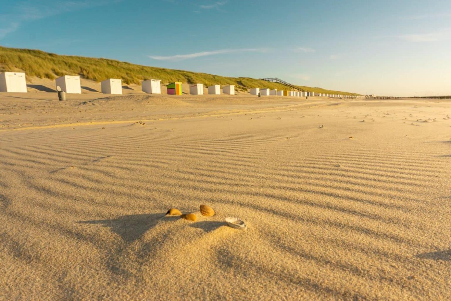 'Relax Lodge Sea' - Wellness Lodge In Zeeland - Private Sauna - Airco - Garden - Outdoor Swimming Pool - Free Wifi, Towels & Bed Linen Heinkenszand Exteriör bild